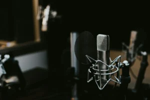 Macro photography of silver and black studio microphone condenser